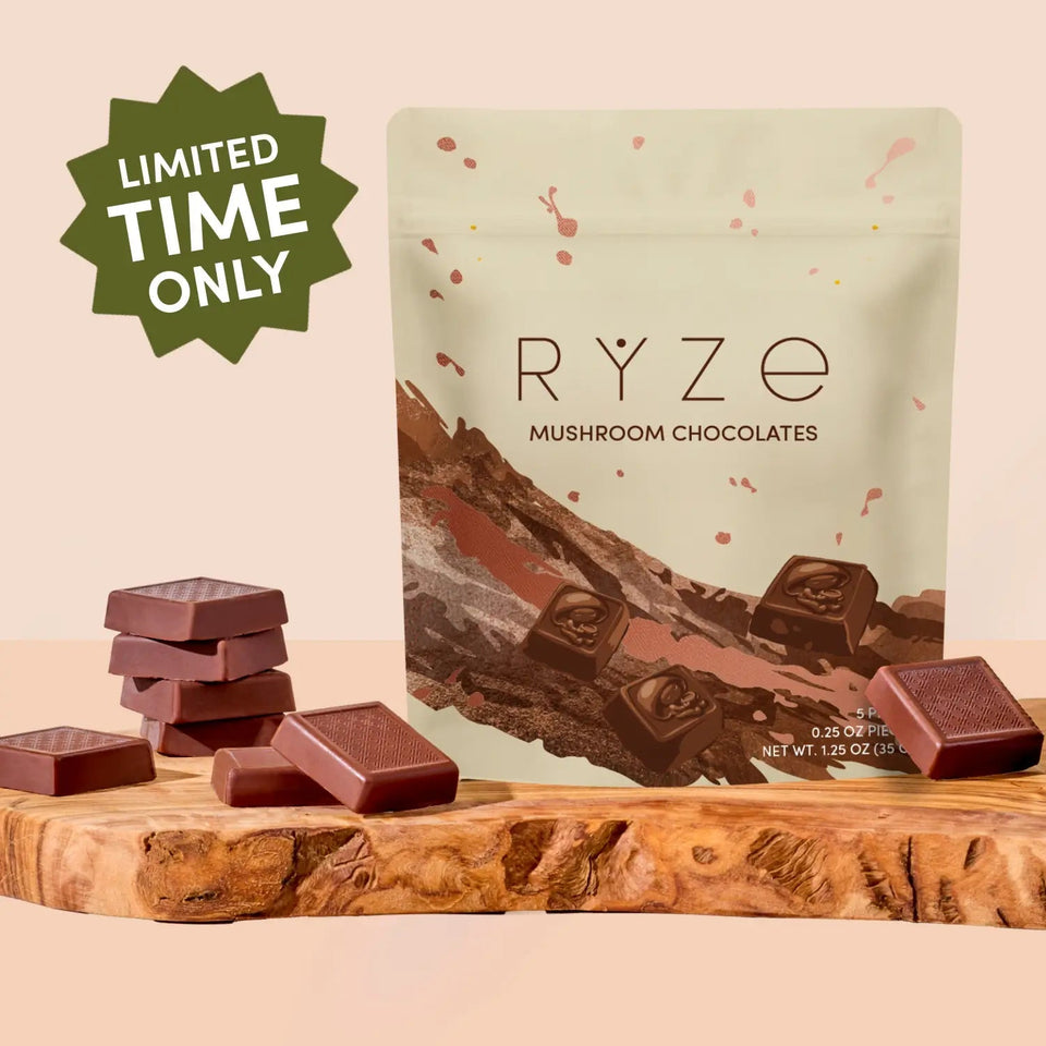 Mushroom Chocolates Rye (15 pieces) - Travel Mushroom Carry